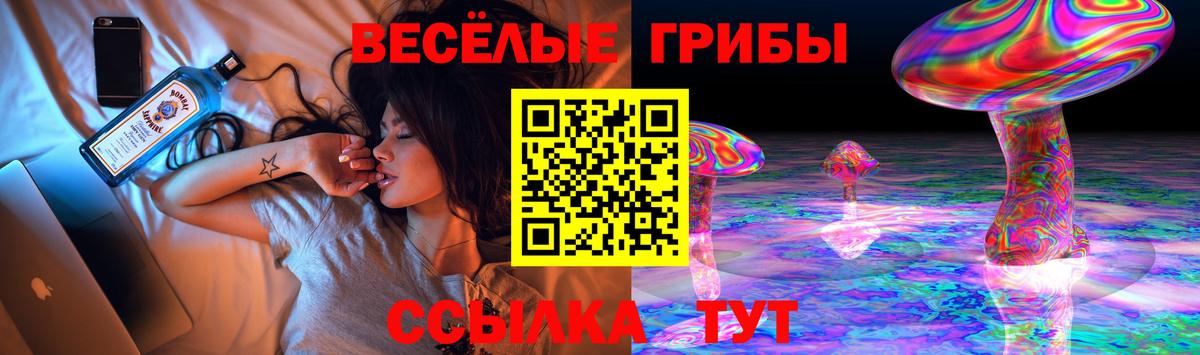 Волоколамск  Галлюциногенные грибы Psilocybe  Вход с VPN 